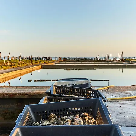 Appartement Fromentine - T2 Avec Jardin, Proche Plage, Animaux Admis - Fr-1-540-303 *